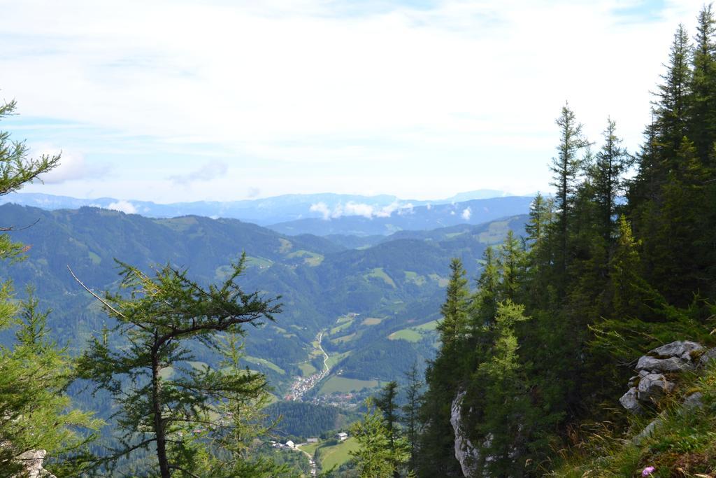 Pension Schweiger Gasen 외부 사진